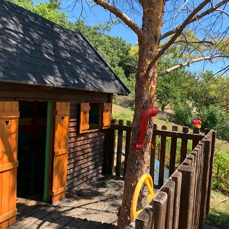 Panorama Pool 巴拉顿菲赖德