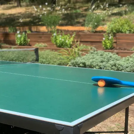 Panorama Pool فيلة