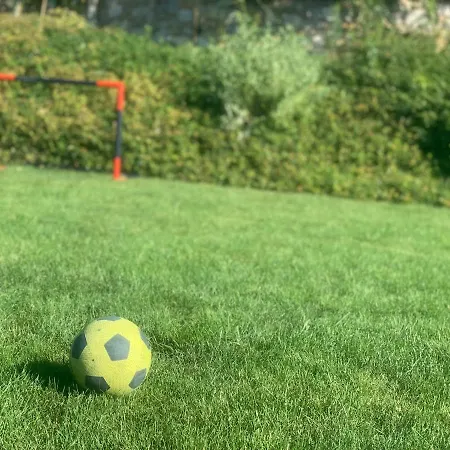 Panorama Pool * 巴拉顿菲赖德